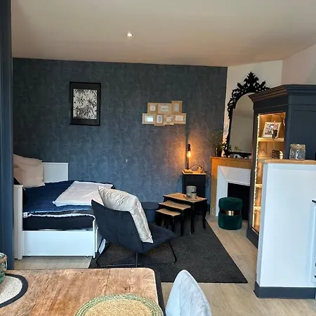 Le Studio Blue : Cosy Avec Un Exterieur Poitiers